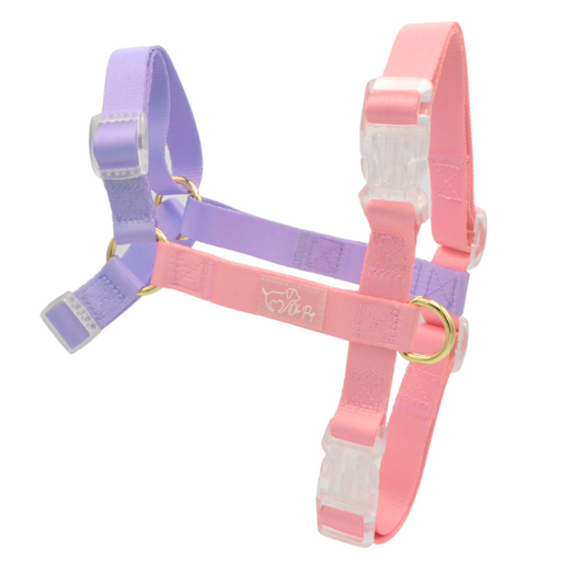 Berry Pink Harness