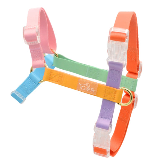 Rainbow Harness