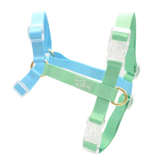 Blue Lagoon Harness